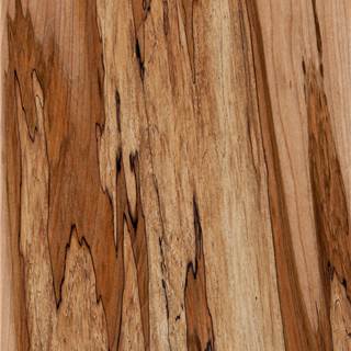 枫木朽纹 Maple Spalted